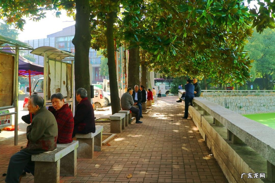 闲聊登不进去怎么办