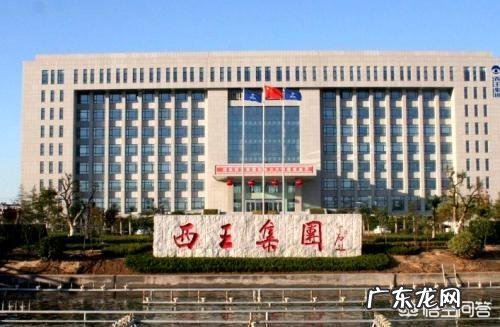 山东的西王村,到底有多富