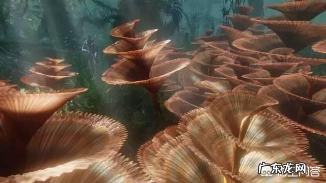 电影《阿凡达2》上映的时候,你会去电影院看吗?为什么?