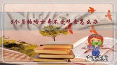 哈士奇幼犬不吃饭怎么办 6个月的哈士奇不爱吃食怎么办？