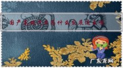 国产高端汽车为什么发展这么慢？关键问题在哪里？