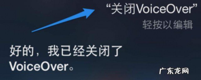voiceover怎么强制关闭