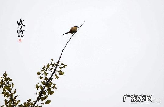 民间谚语:“白露不露身,寒露不露脚”什么意思?