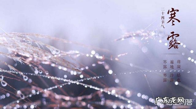 民间谚语:“白露不露身,寒露不露脚”什么意思?