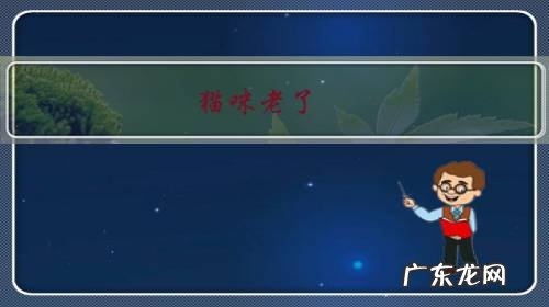 猫咪老了怎么办 猫咪老了,该如何照顾?