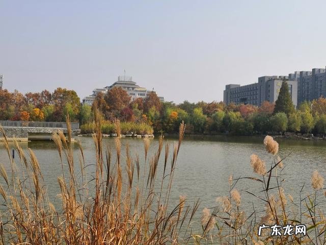 怎么才能瘦下去感觉越吃越胖