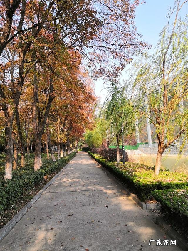 怎么才能瘦下去感觉越吃越胖