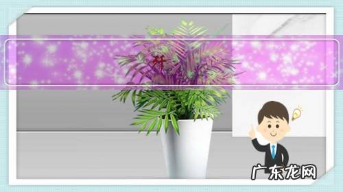 歼-20隐身战斗机可以上航当代舰载机吗?