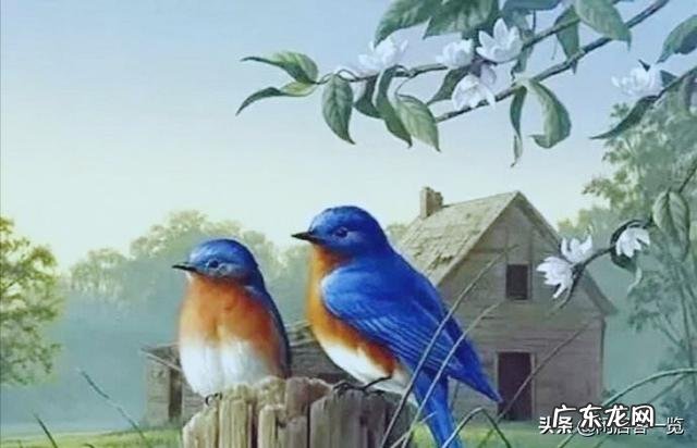 一个35岁的单身男拒绝22岁单身女的表白可能会是什么原因?