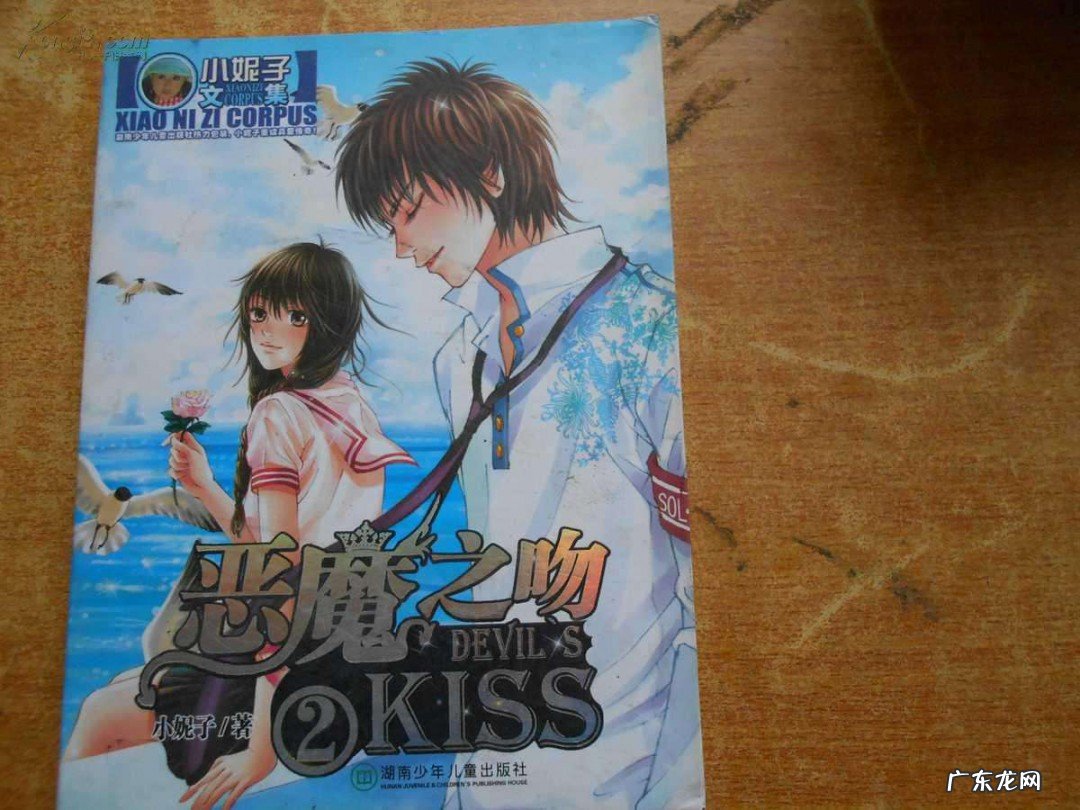 小妮子的已出版书