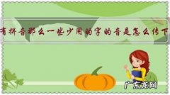 古代没有拼音那么一些少用的字的音是怎么传下来的？