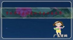 贾跃亭在乐视危机浮出水面之前，你对他的印象如何？