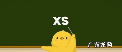 XS是什么意思