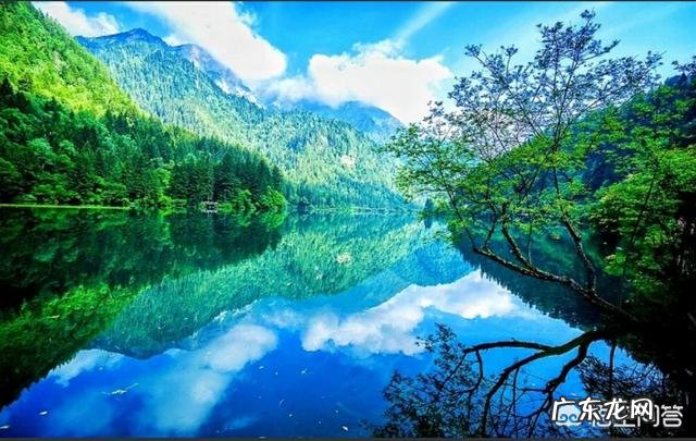 情人节时,中年人该如何过得浪漫而有意义?