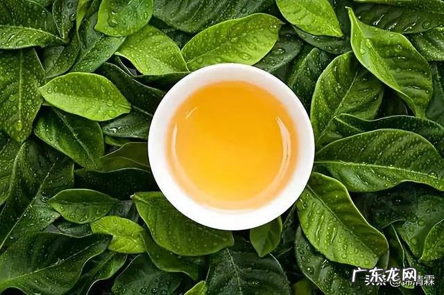 什么茶减肥效果最好最快呢