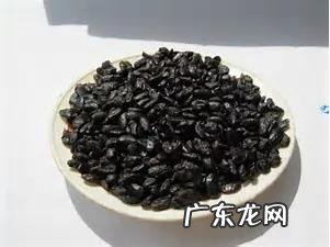 淡豆豉是什么?