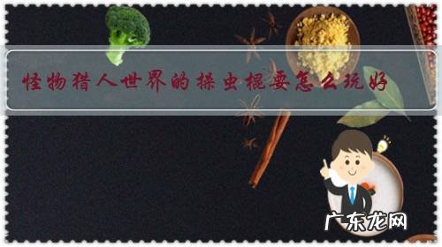 怪物猎人世界的操虫棍要怎么玩好?