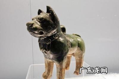 史上第一只狗是怎样来的?