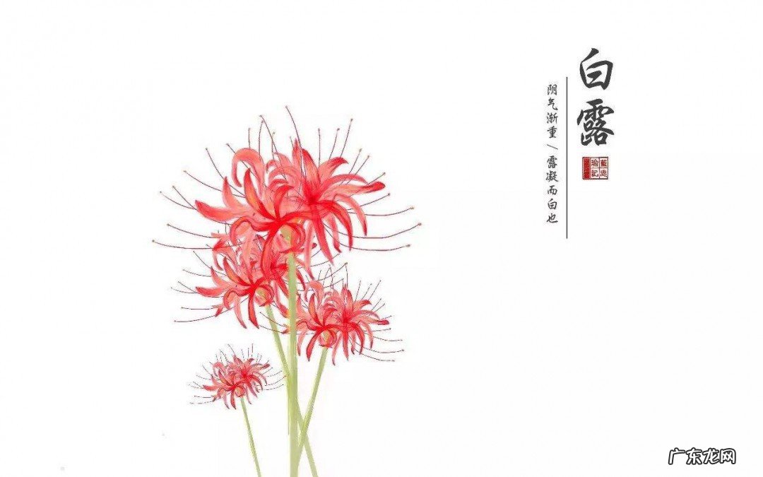 白露养生应该吃什么