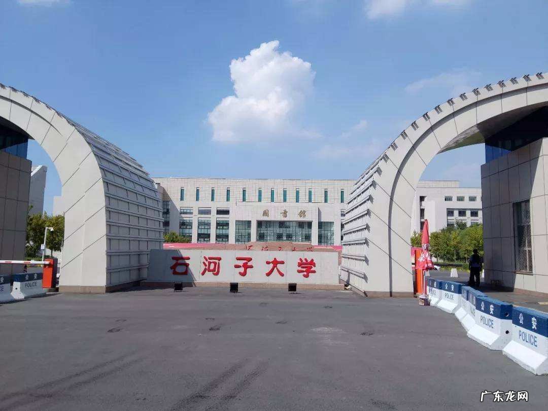 石河子大学在哪