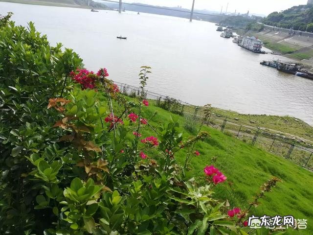 如何帮助孩子减轻青春期的心理压力?