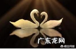 有人说“步入婚姻才懂:爱情一文不值,柴米油盐才是生活的真谛”你认同这句话吗为什么?