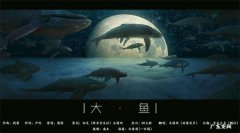 大鱼这首歌表达了什么