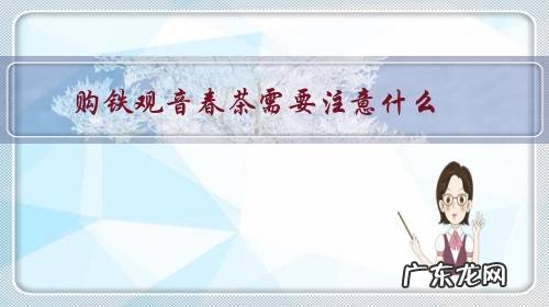 铁观音春茶采摘时间 购铁观音春茶需要注意什么?