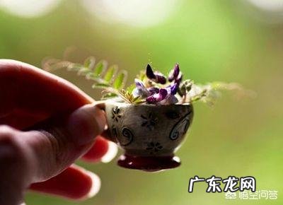 怎么才能控制自己的念头?