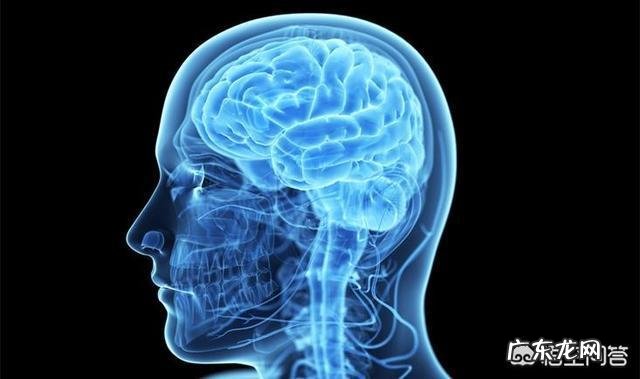 如果每天坚持骑动感单车，身体会有什么变化？能改善心肺功能和减肥吗？