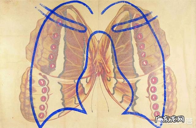如果每天坚持骑动感单车，身体会有什么变化？能改善心肺功能和减肥吗？