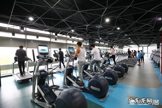 找老婆找漂亮的女人好,还是找相貌一般的女人好