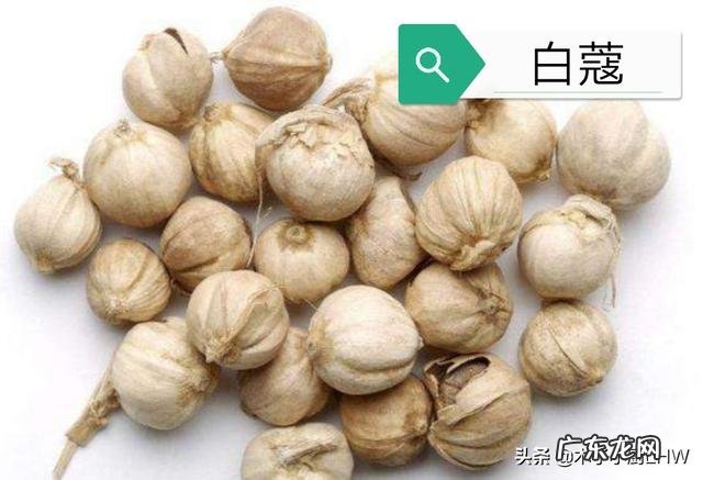 有哪些香辛料是去腥的?