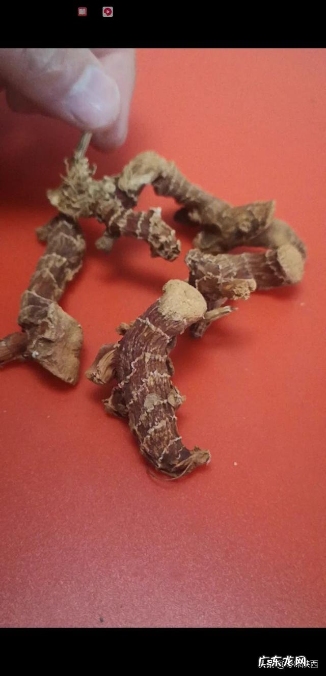 有哪些香辛料是去腥的？