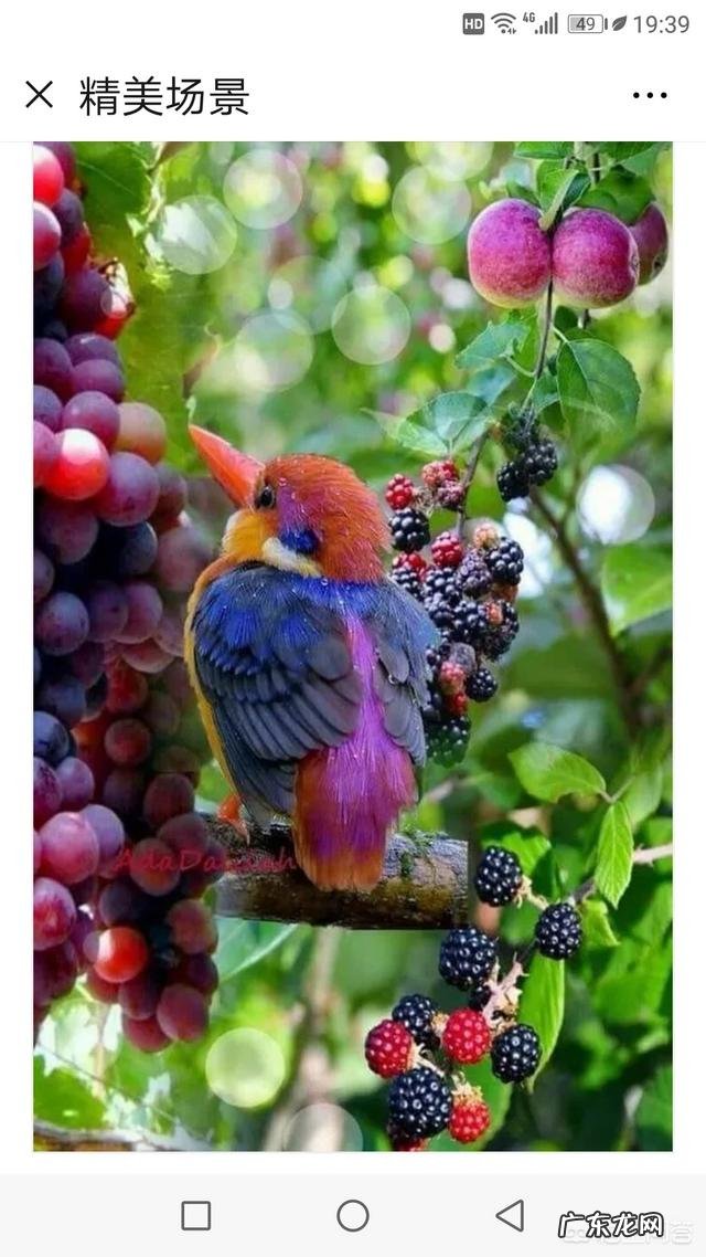 读书是为了陶冶情操吗？