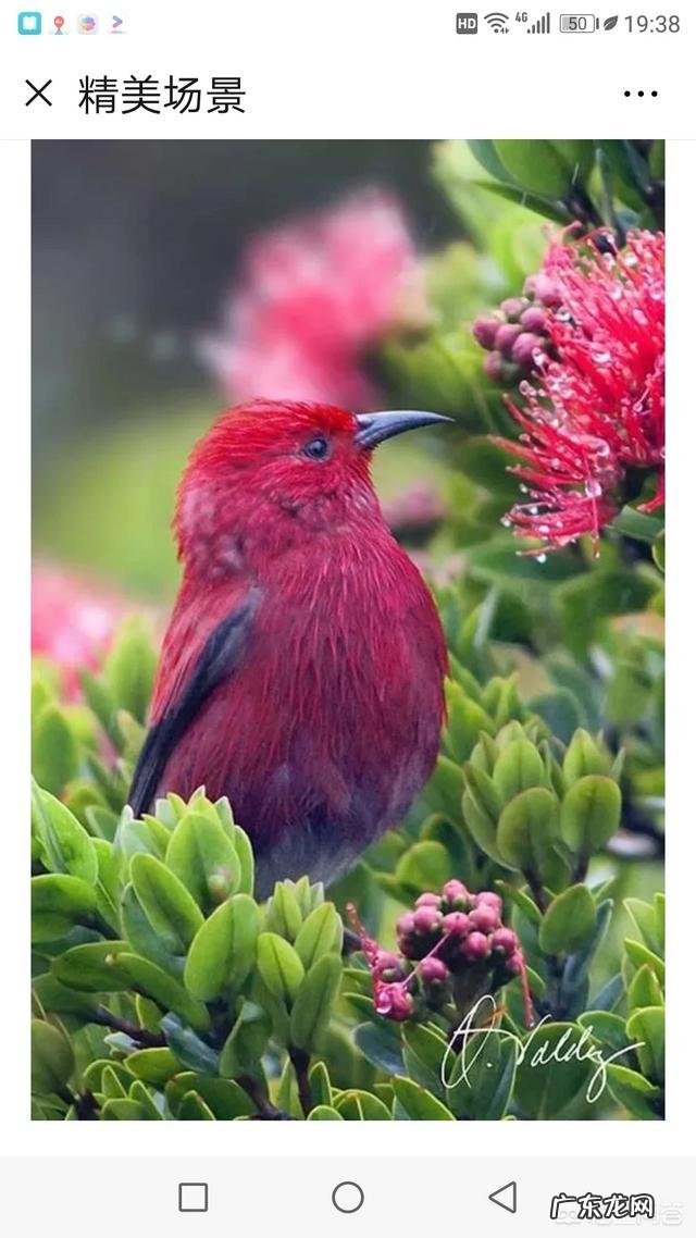 读书是为了陶冶情操吗？