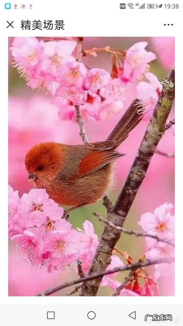 读书是为了陶冶情操吗？