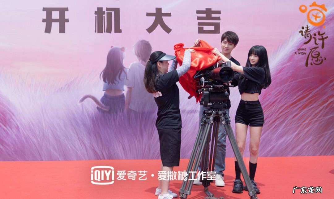 喵请许愿剧情介绍