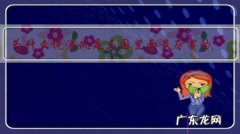 为什么说潘凤是三国里面最厉害的？