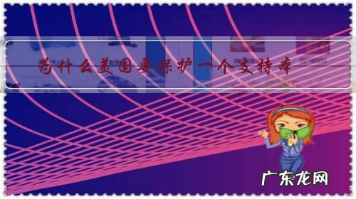 为什么美国要保护一个支持本.拉登和君主国家的沙特呢?