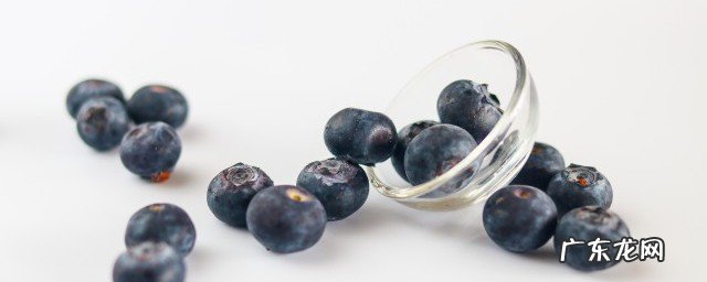 盆栽蓝莓几年开花结果