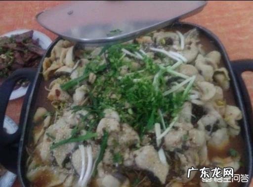 鱼要怎样做好吃?你喜欢哪种做法?