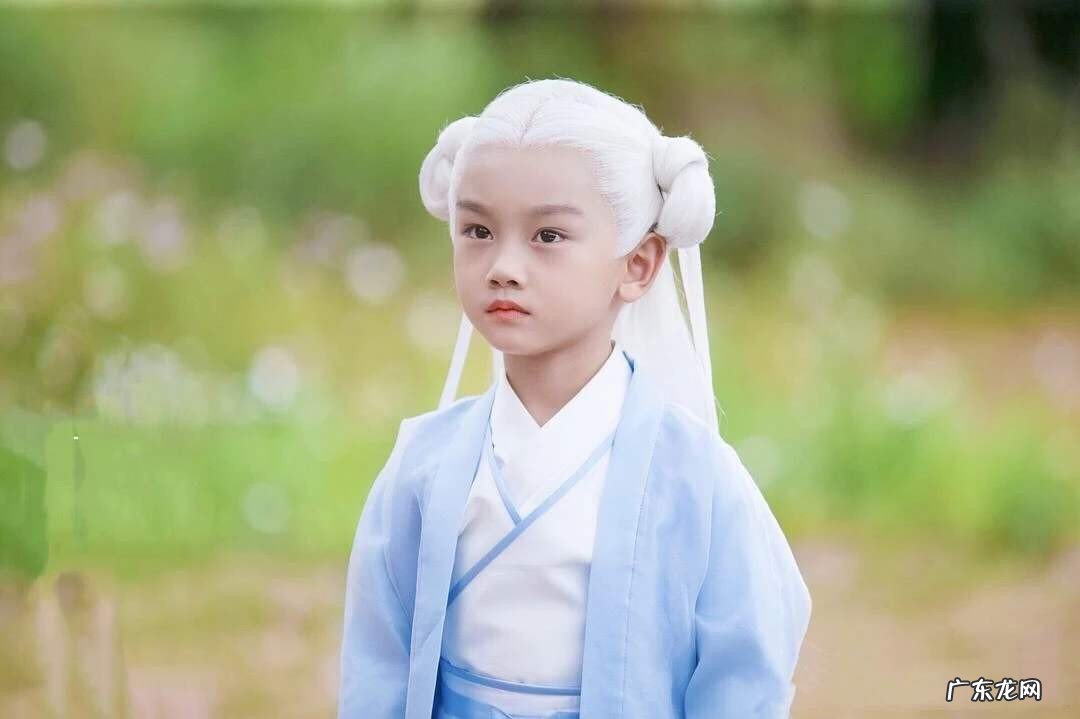 枕上书的白滚滚是谁