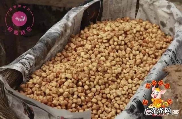 过年了,有什么有意义的民俗或者活动啊?