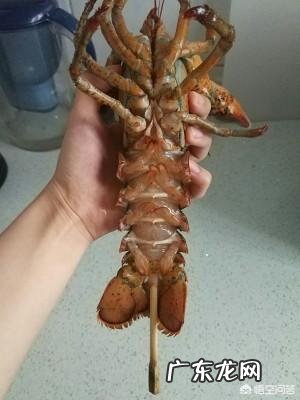 怎么做波士顿大龙虾既美味又简单?