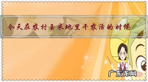 今天在农村玉米地里干农活的时候,抓到一条重达3斤的五步蛇,能够卖到多少钱呢?