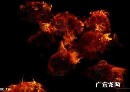 美国白宫摄影师爆料称白宫官员已经打过疫苗了,你觉得新冠肺炎是否为美国的阴谋?