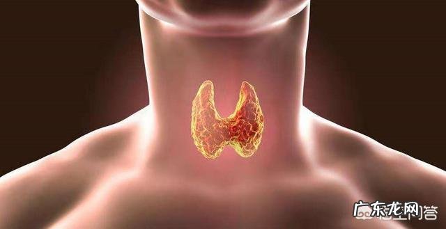 甲亢的症状有哪些该如何预防或zhi疗