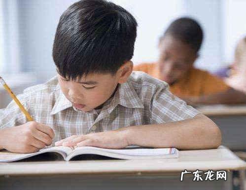 小学生做作业不认真怎么教育?
