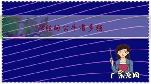 72胜的公牛有多强?为何勇士73胜仍然有球迷觉得公牛更强?